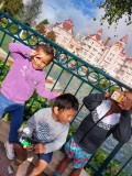 09082022 petit cagou a disney (1)