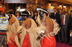 sia201003
