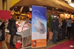 sia201104