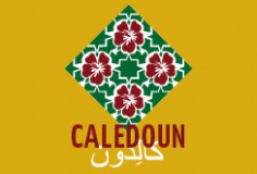 Visuel_site_caledoun1